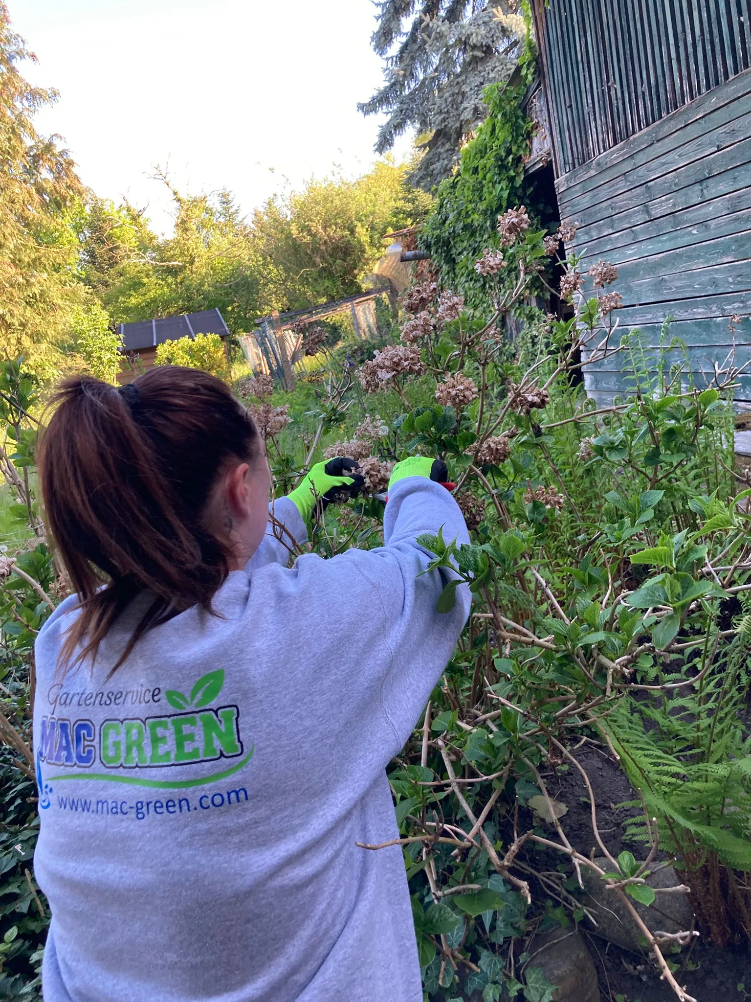 Gärtner bei der Beetpflege im Gartenbau in Stralsund