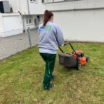 rasenpflege