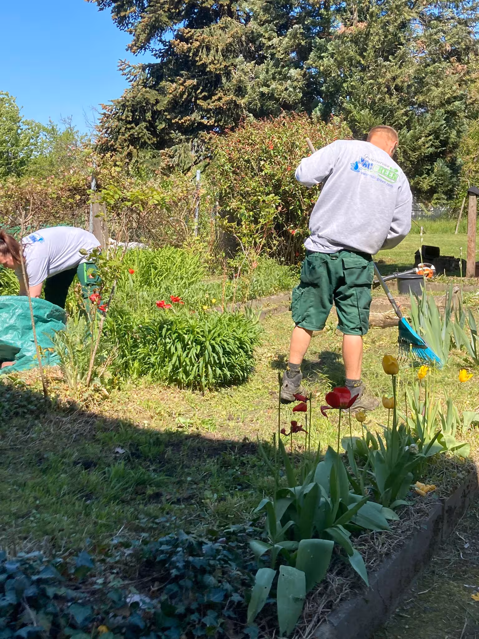 gartenpflege service