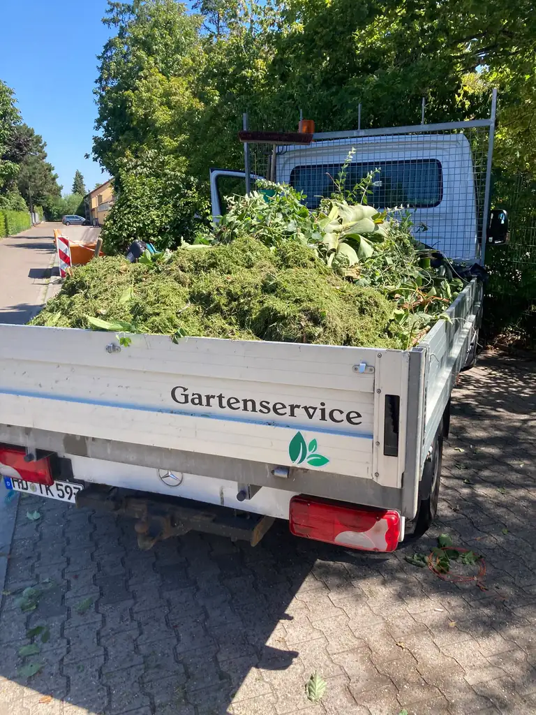 Abtransport von Grün- und Heckenschnitt im Einsatzfahrzeug