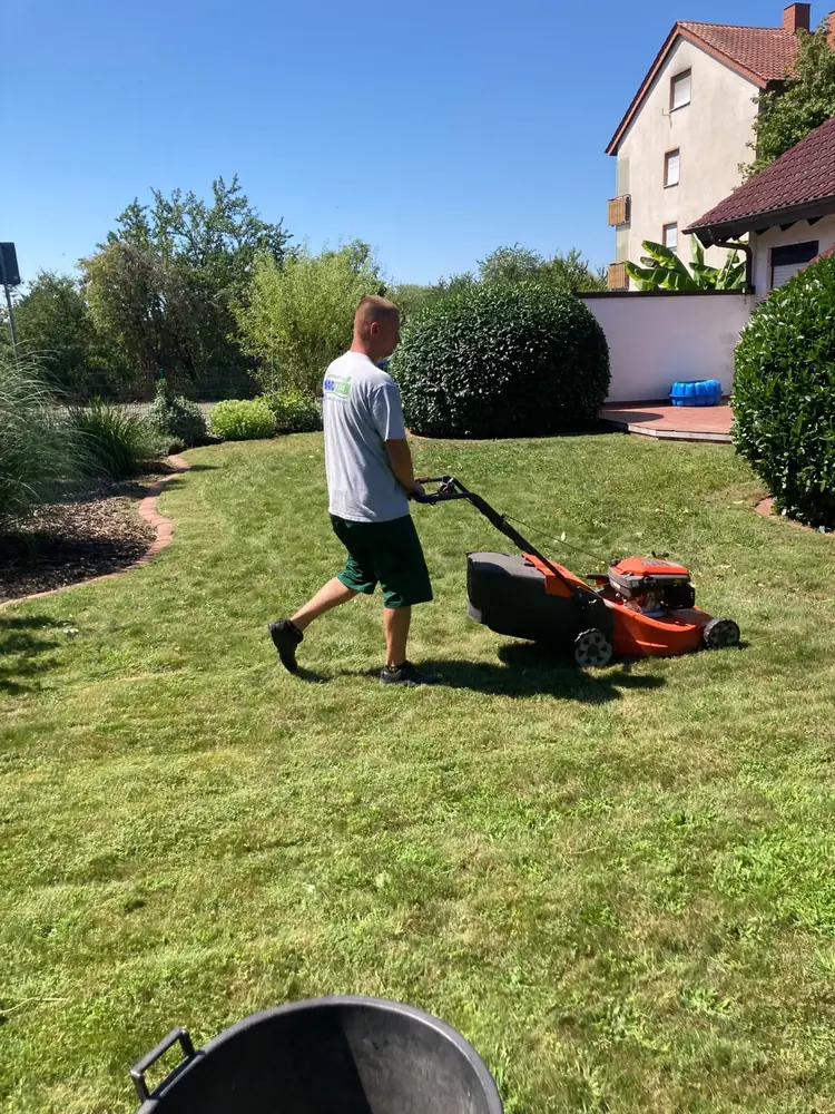 Rasenmähen mit einem Rasenmäher im Garten